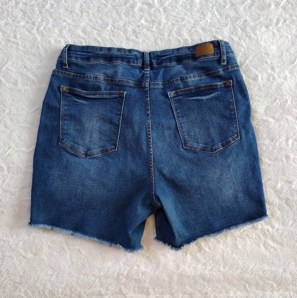 Judy Blue High Rise Distressed Shorts - Picture 3 of 6